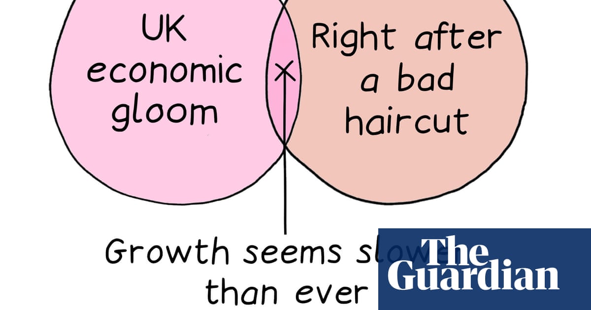 From the UK economy to bad haircuts: Edith Pritchett’s week in Venn diagrams – cartoon