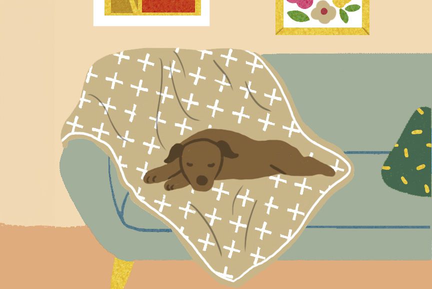 10 Best Tips for Pet Parents From 25 Years of REAL SIMPLE