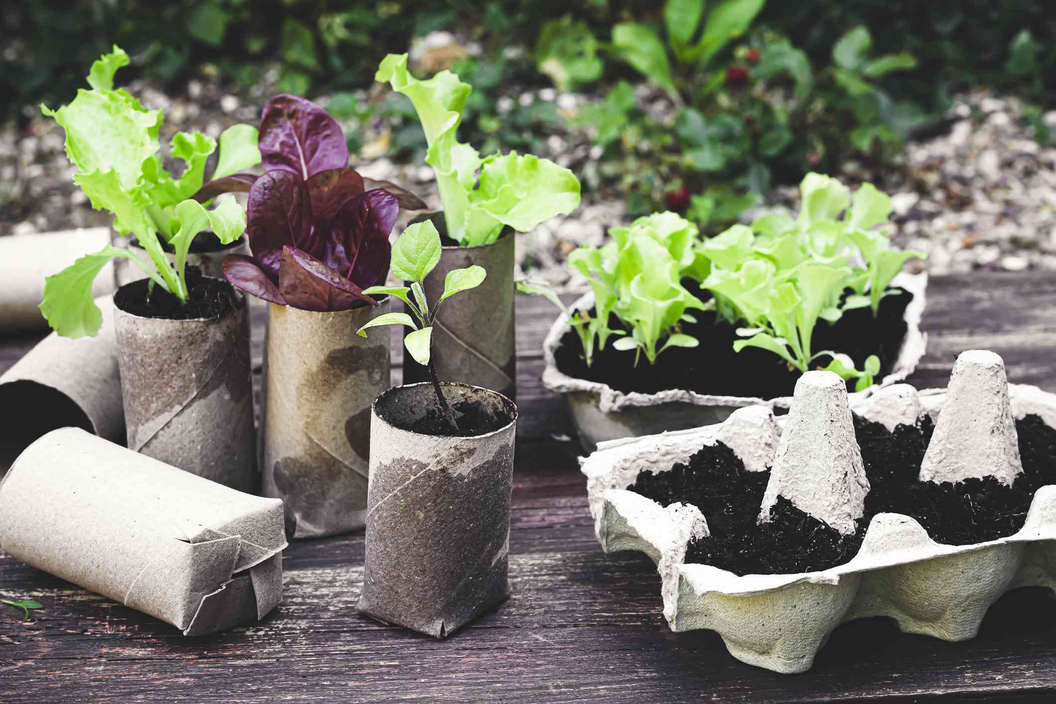 20 Easy Gardening Hacks That Will Make Growing Your Garden This Spring So Simple