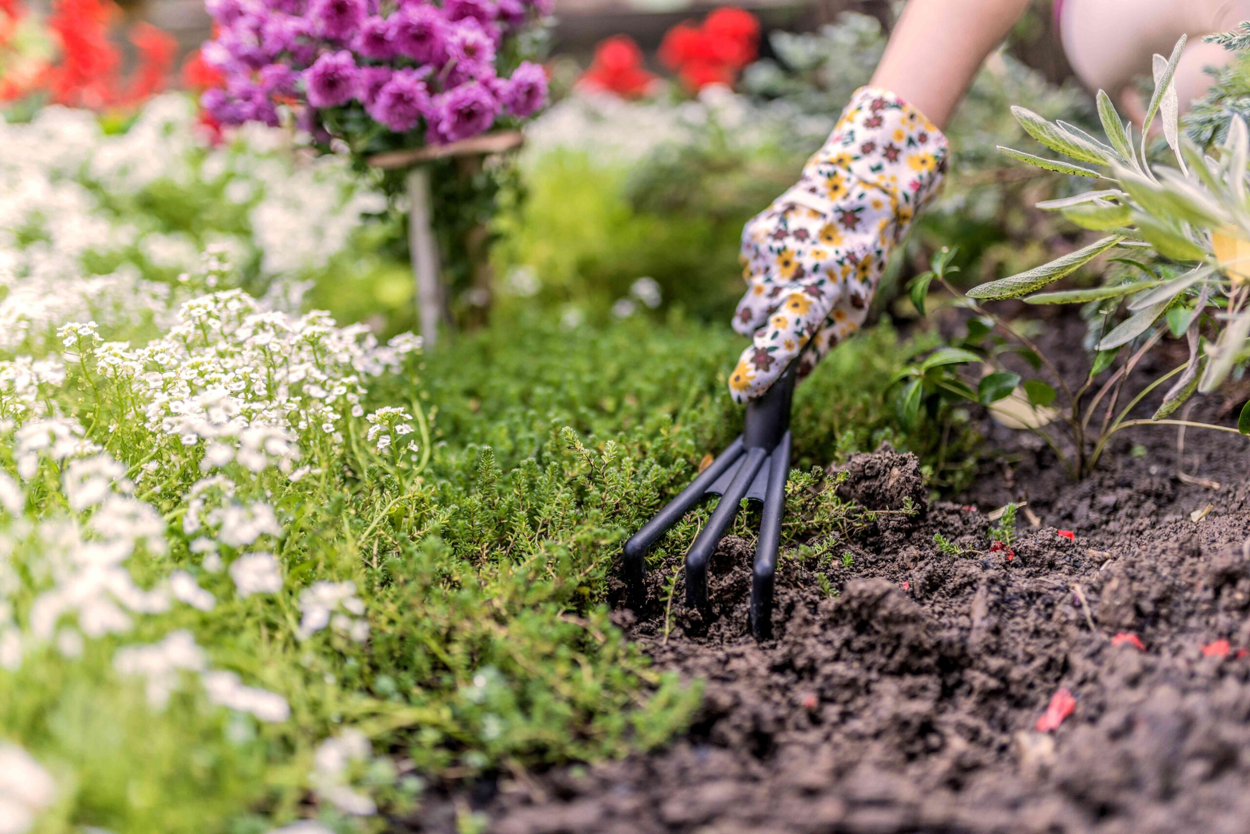 5 Underrated Spring Gardening Rules Pro Gardeners Always Follow for Better Blooms