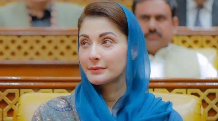 59% in Punjab approve of CM Maryam Nawaz's performance, reveals survey