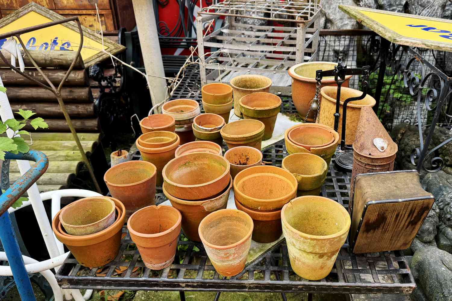 6 Gardening Items You Should Always Thrift, According To Experts