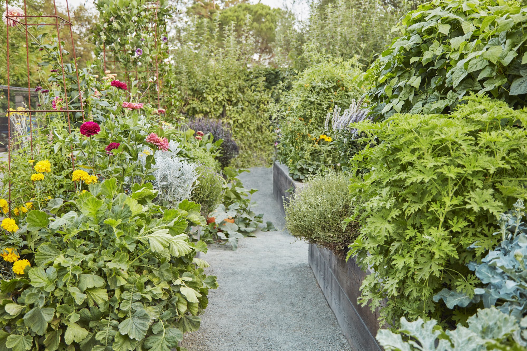  Not to be confused with garden planters or containers, raised garden beds have no bottoms. They are four-sided frames to hold above-ground mounds of soil in place. Open to the ground underneath, raised beds offer excellent drainage and don’t prevent plant roots from stretching out underneath. Photograph by Laura Silverman.