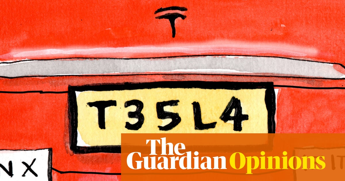 Are Tesla owners losing their drive? | Fiona Katauskas