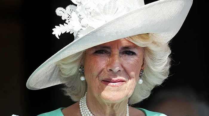 Buckingham Palace releases Queen Camilla's emotional video message