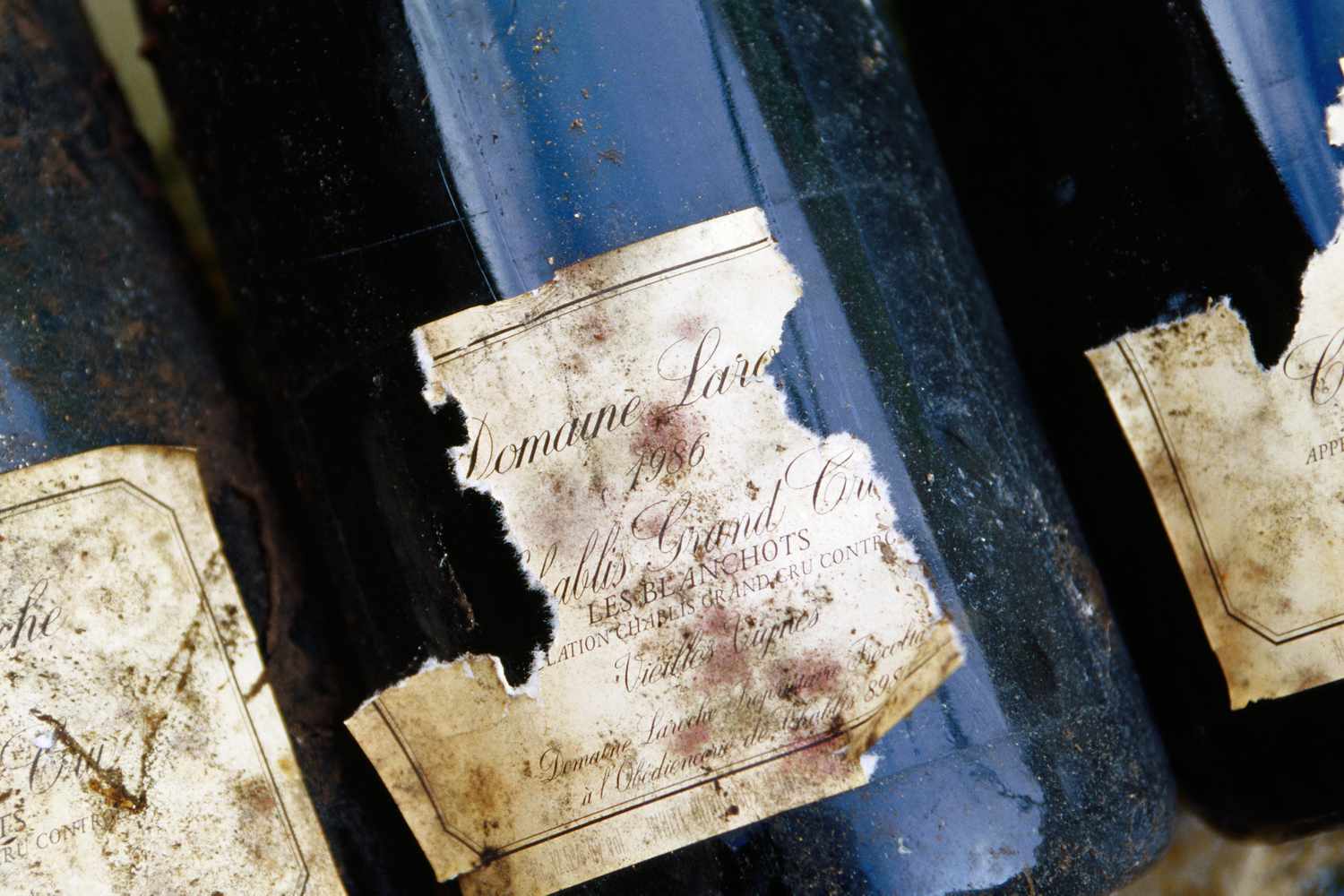 Does Your Wine’s Vintage Really Matter, or Is It Just a Marketing Ploy?