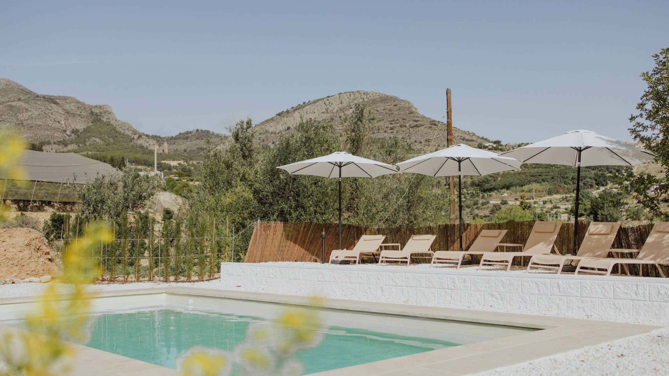 Eight of Spain's most elegant villas for stylish summer holidays