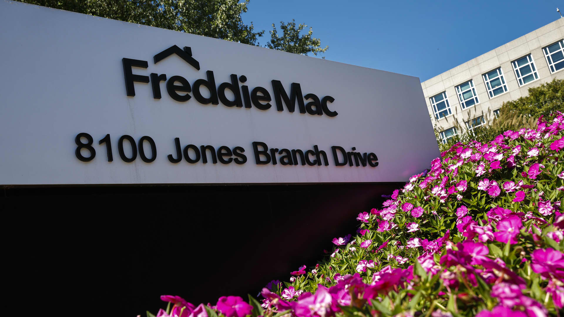 FHFA will not cut Fannie Mae and Freddie Mac loan limits