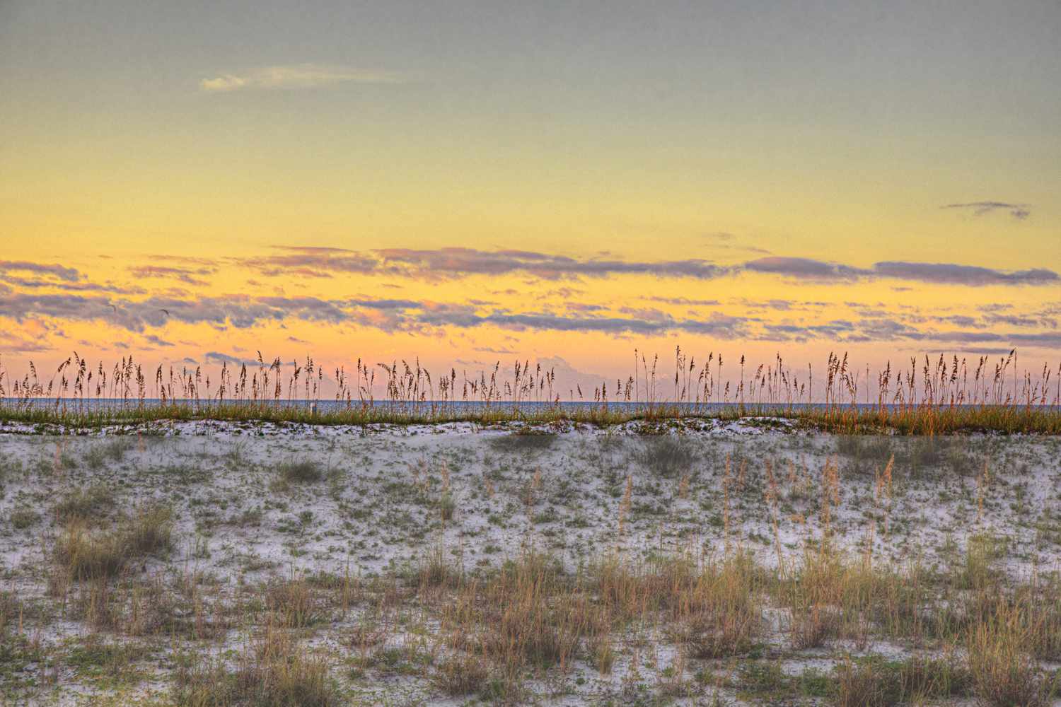 Fannie Flagg Shares Memories Of The 'Sleepy' Alabama Beach Town That Is Now A South's Best Vacation Destination