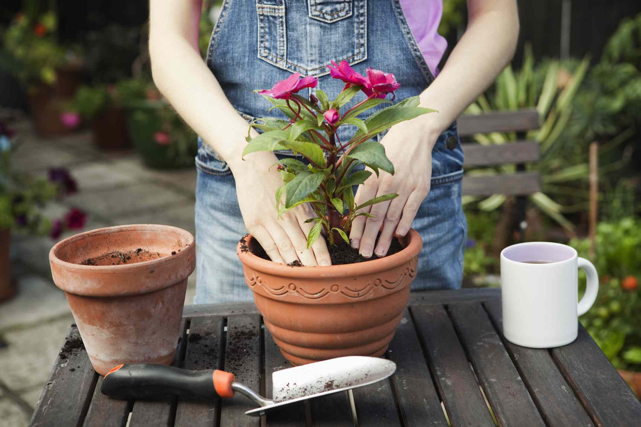 Have You Started Your Spring Gardening Yet? 5 Projects You Should Do Right Now