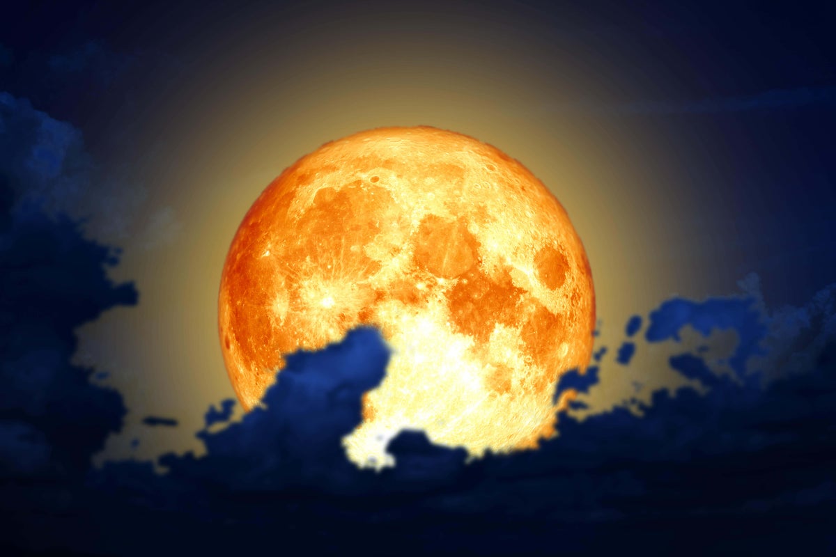 How the blood worm moon will affect these 4 star signs