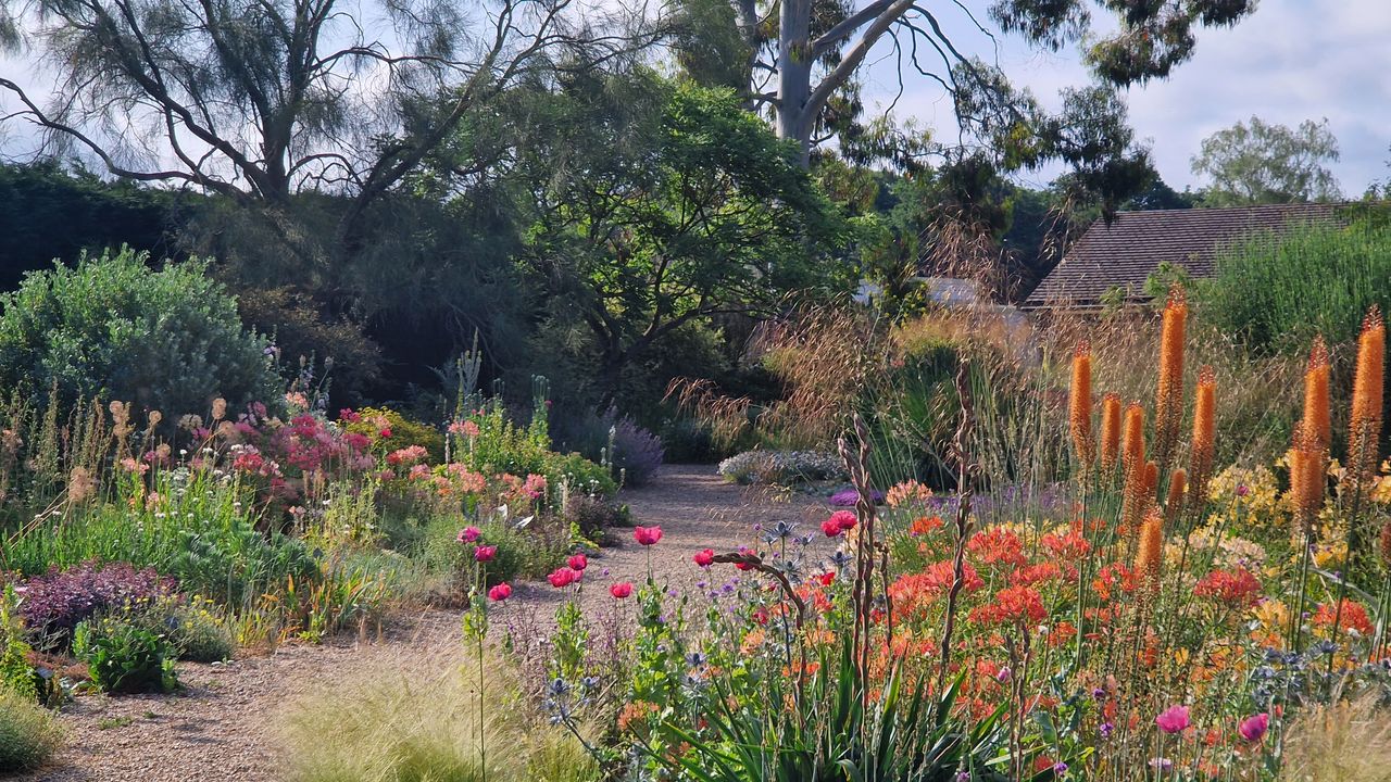 House and Garden