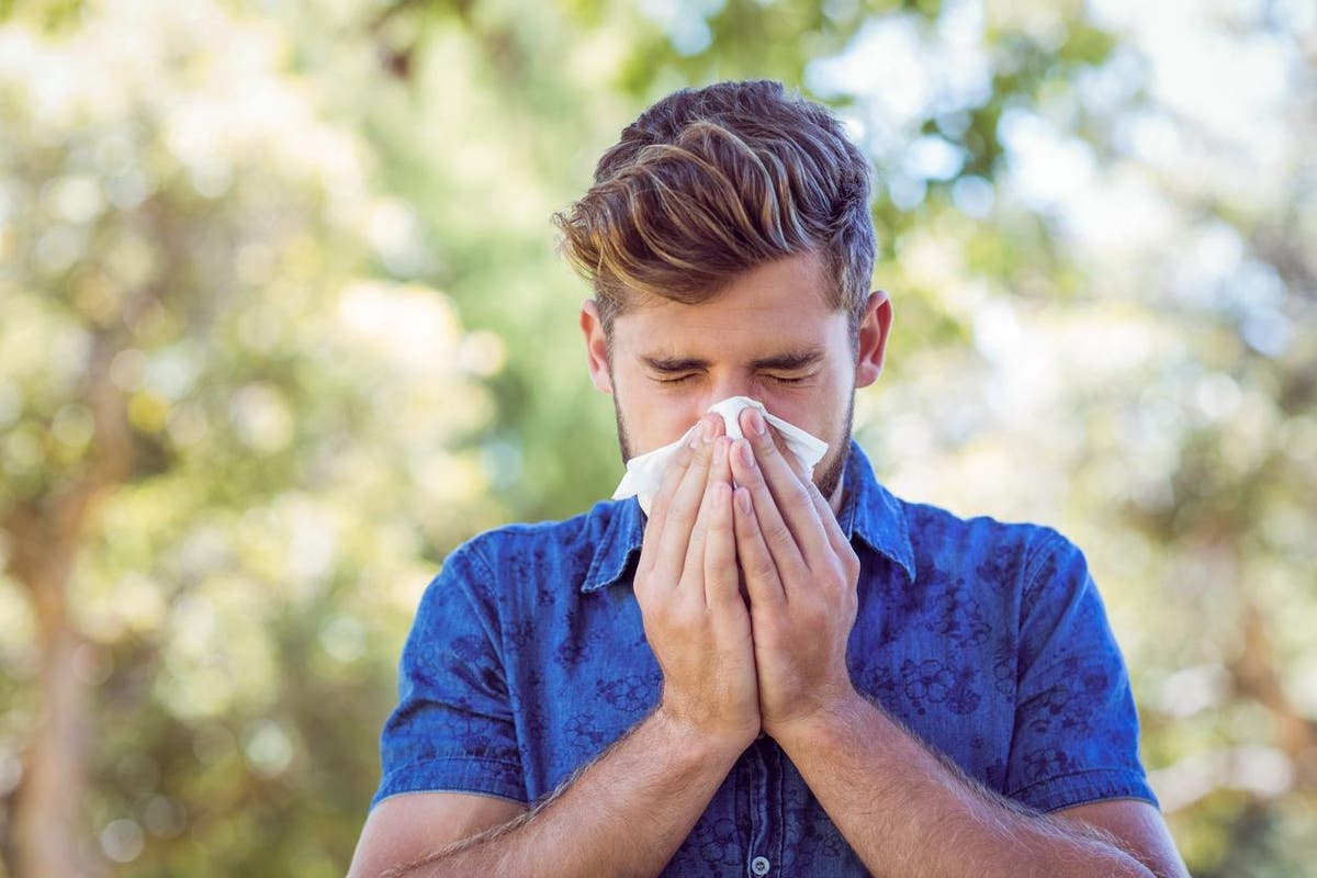 How to make your home a sneeze-free space this hay fever season