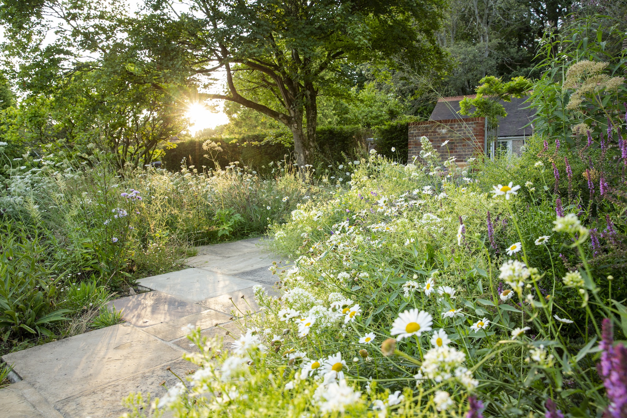 Benton irises and roses mingle in this romantic London garden designed by Thompson. Photograph by Jason Ingram.