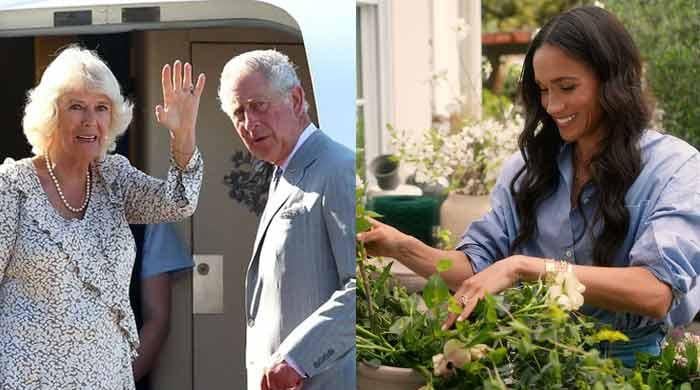 King Charles, Queen Camilla 'hurt' by Meghan Markle's new bombshell