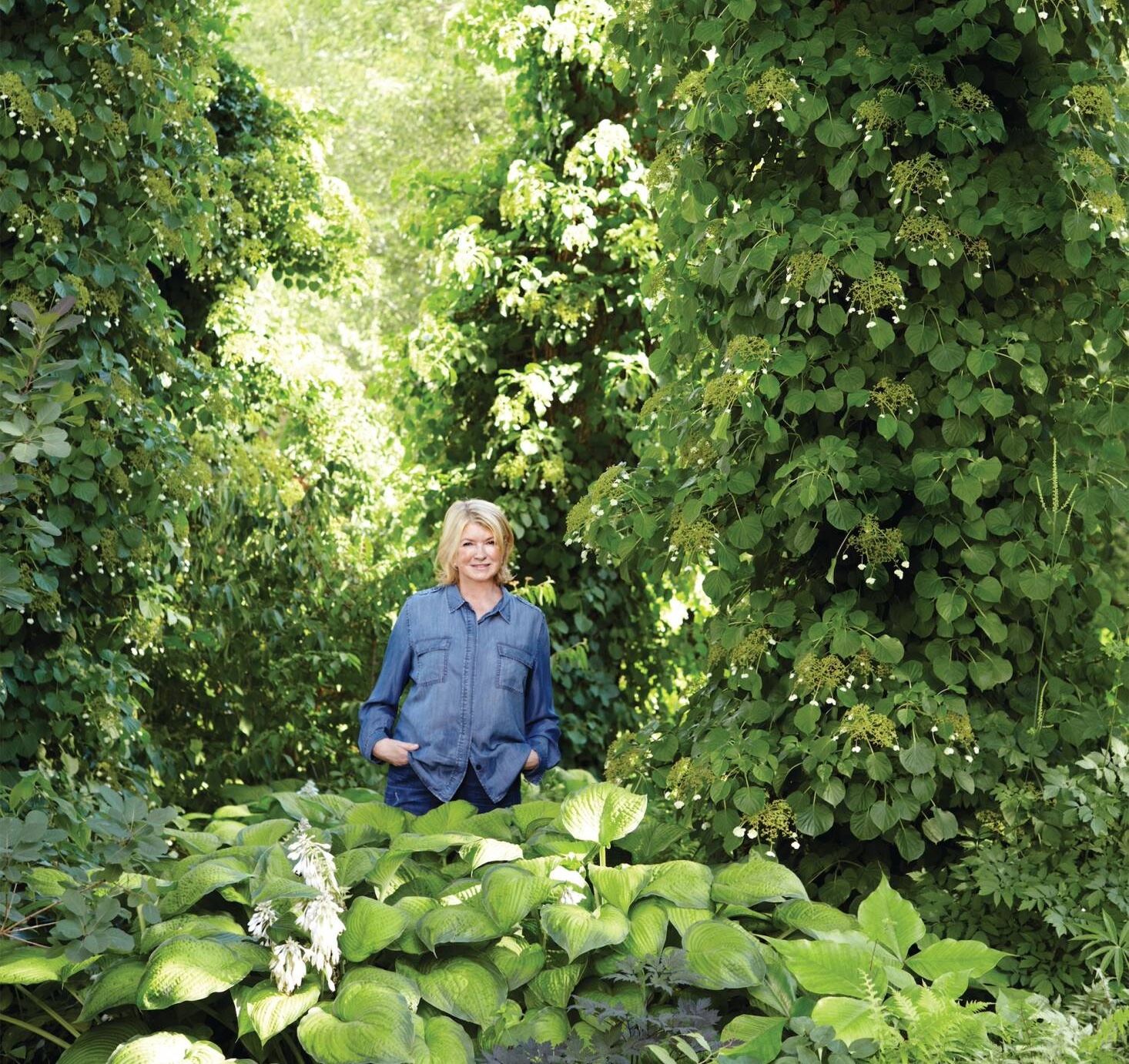 Martha Stewart on Gardening: An Interview With the Icon About Her Favorite Plants, Tools, and More