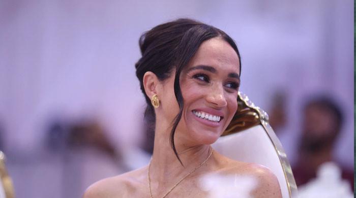 Meghan Markle's new 'golden opportunity' unveiled