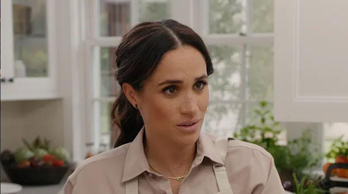 Meghan Markle's worry about finding more work deepens