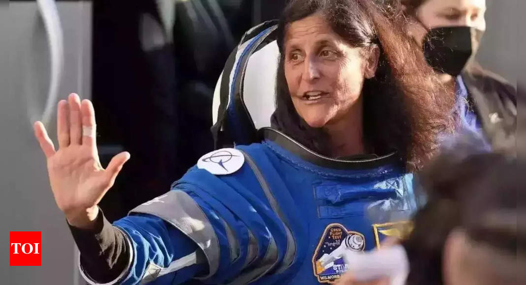 NASA astronaut Sunita Williams enroute to Earth: Here's a look at her tiny Indian village in Gujarat - The Times of India