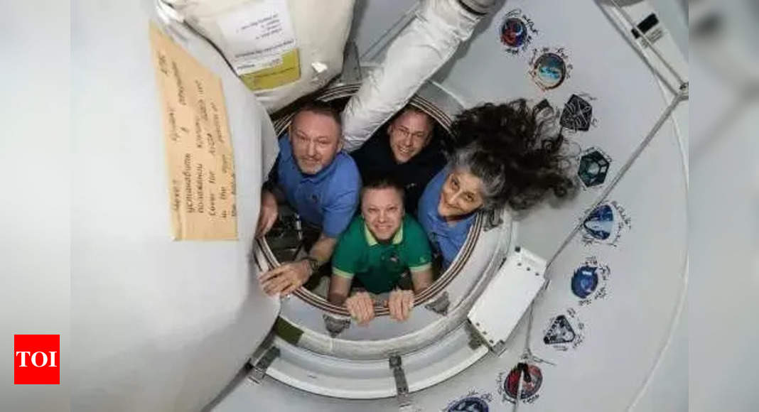 Nick Hague and Aleksandr Gorbunov: All about the astronauts bringing Sunita Williams and Butch Willmore back to Earth - The Times of India