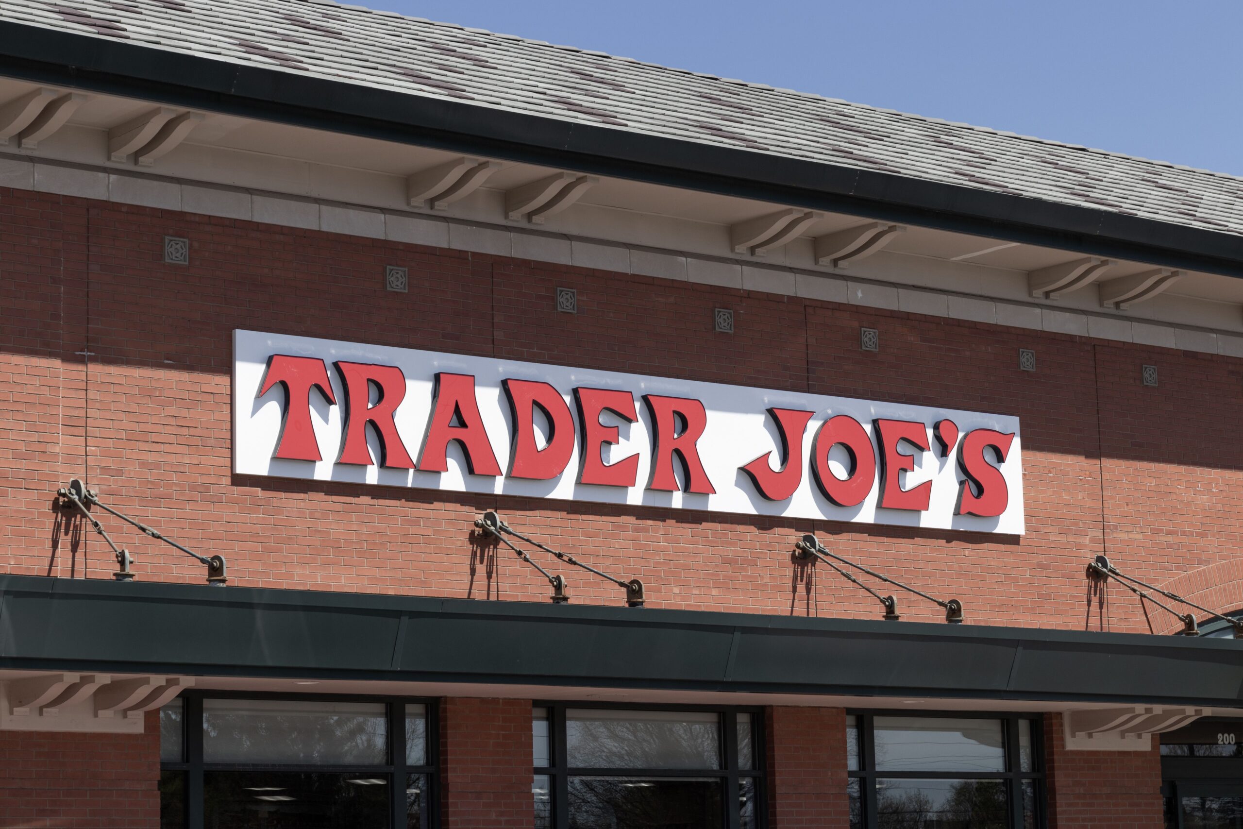 Peony Tulips from Trader Joe's Are the Perfect Spring Blooms for Your Home