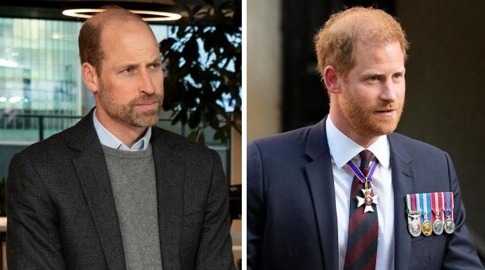 Prince Harry, Prince William receive joint offer from Hollywood amid rift