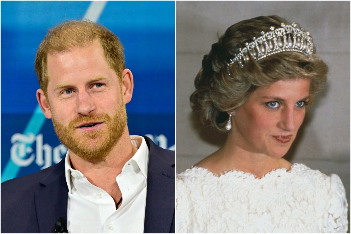 Prince Harry has no plans to produce Princess Diana Netflix doc, despite reports