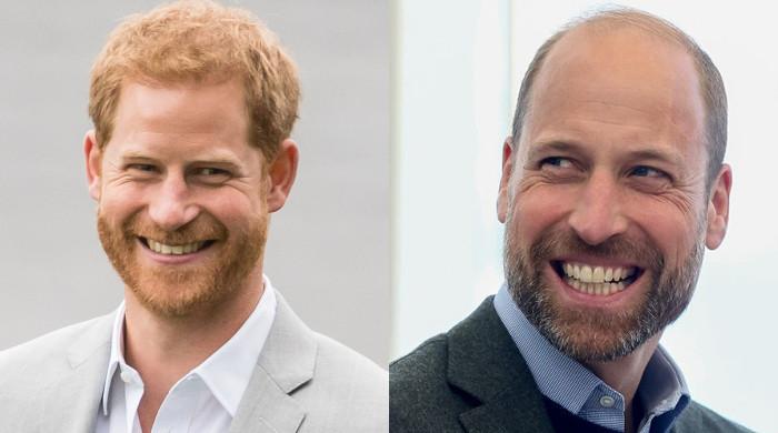 Prince Harry receives good news about Prince William reunion