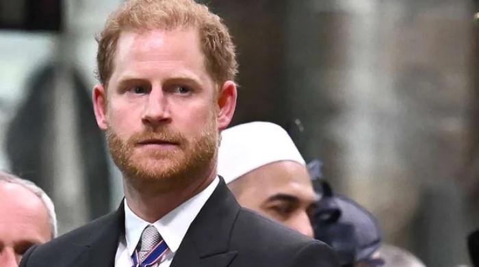 Prince Harry's battle over his visa sparks new debate