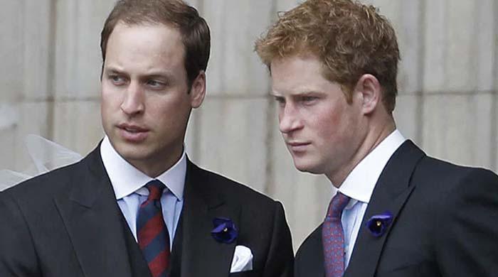 Prince William reminds of childhood bond with Prince Harry during latest visit