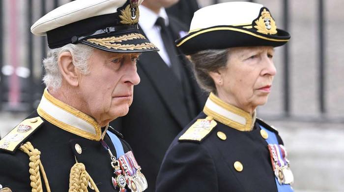 Princess Anne, King Charles hold key meeting at Palace after sad announcement