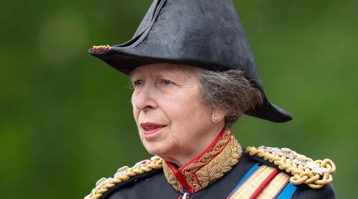 Princess Anne disappointed after long trip to France