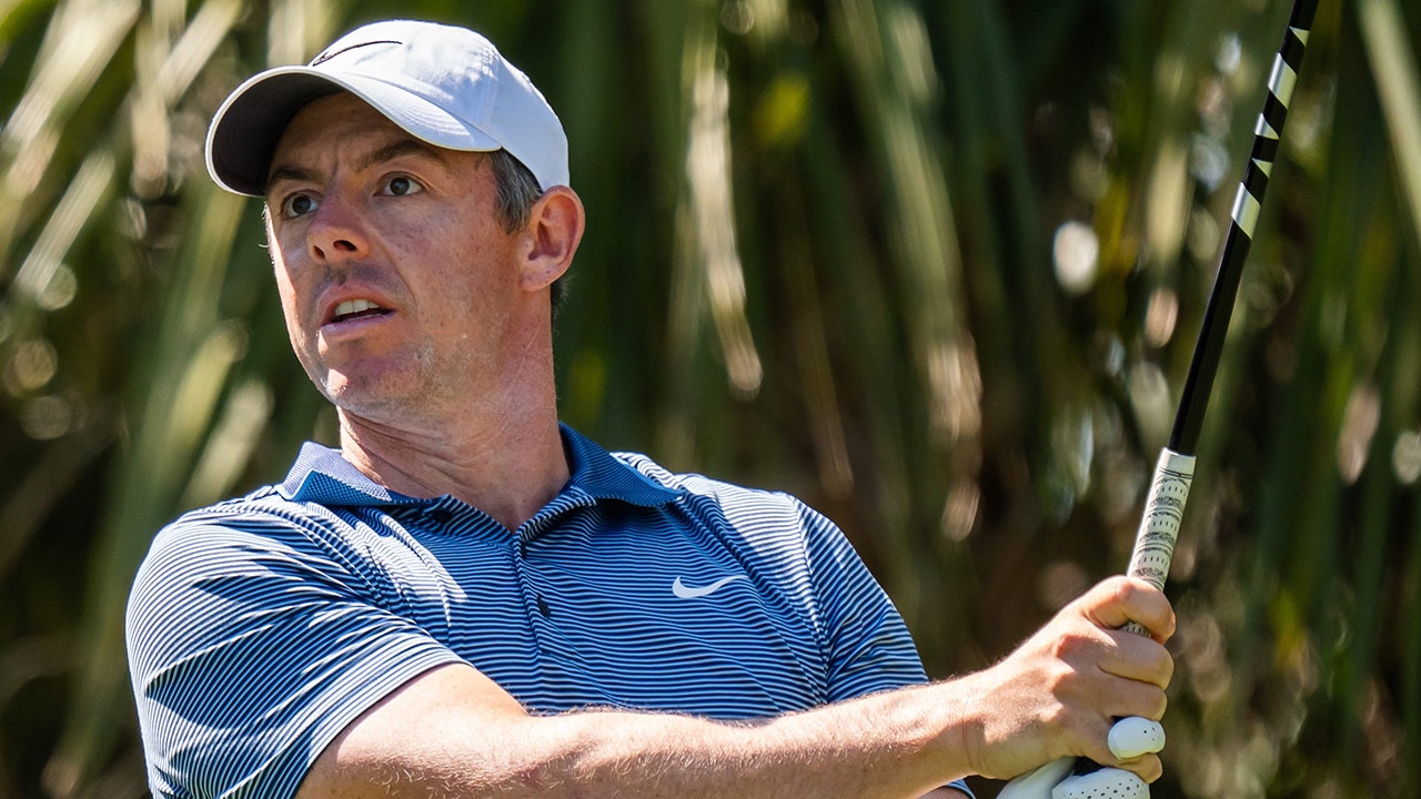 Rory McIlroy took college golfer's phone after heckling moment at the Players Championship