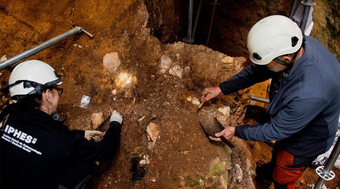 Scientists uncover 1.4-million-year-old hominin remains in Europe