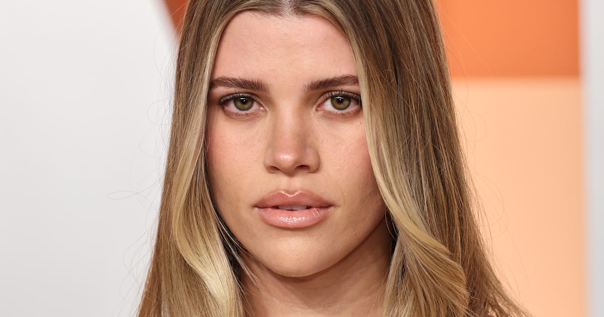 Sofia Richie Forgot To Wear Pants With Her "Stealth Wealth"-Coded 'Fit