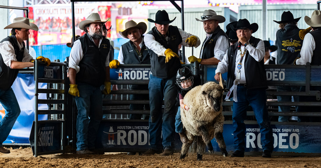 The Houston Rodeo Is the Super Bowl of Country Culture