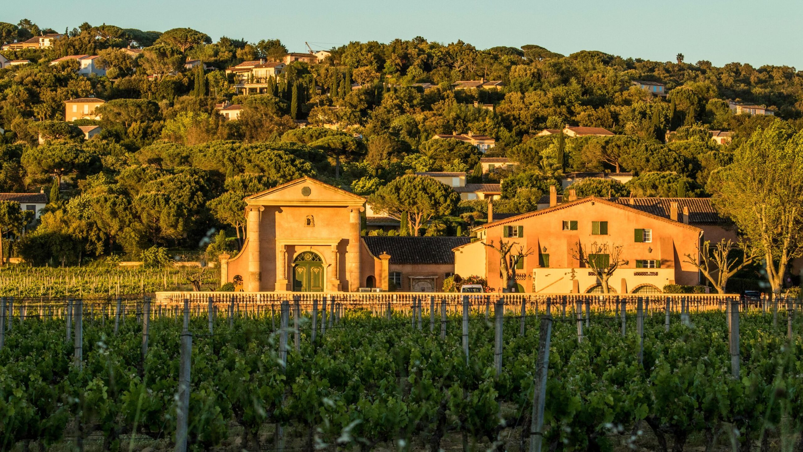 The best vineyards to visit in Provence