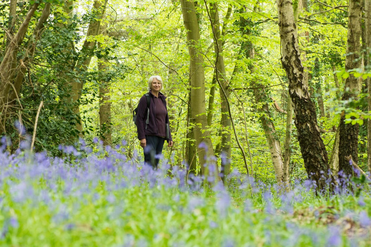 The top 6 benefits of walking for seniors