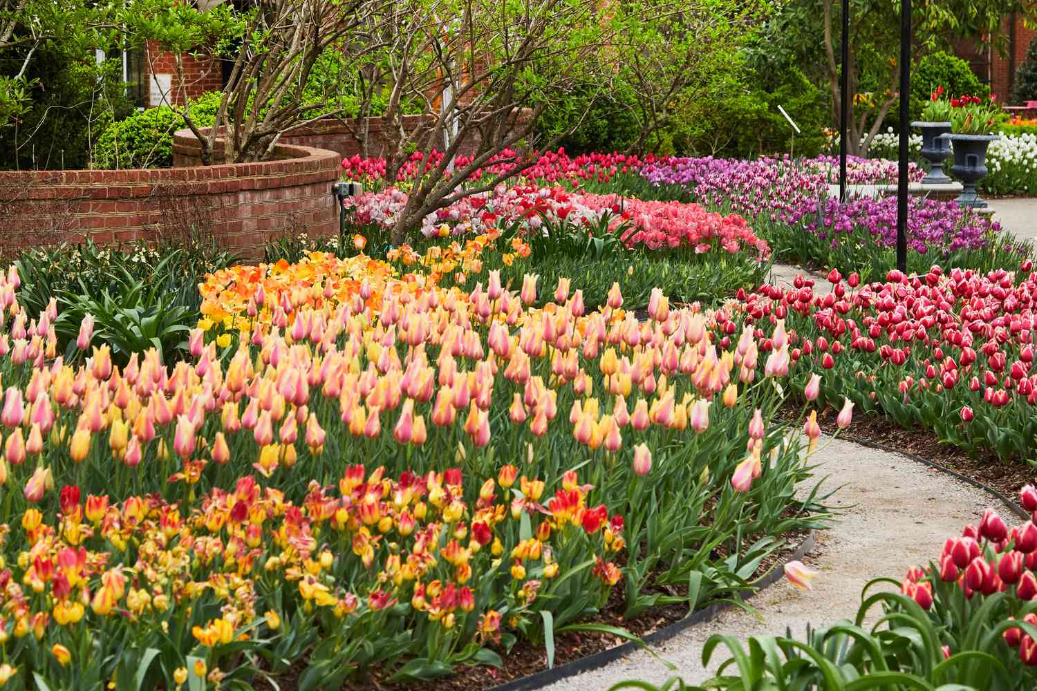 This Free Garden In Tennessee Comes To Life With More Than 250,000 Colorful Tulips Each Spring