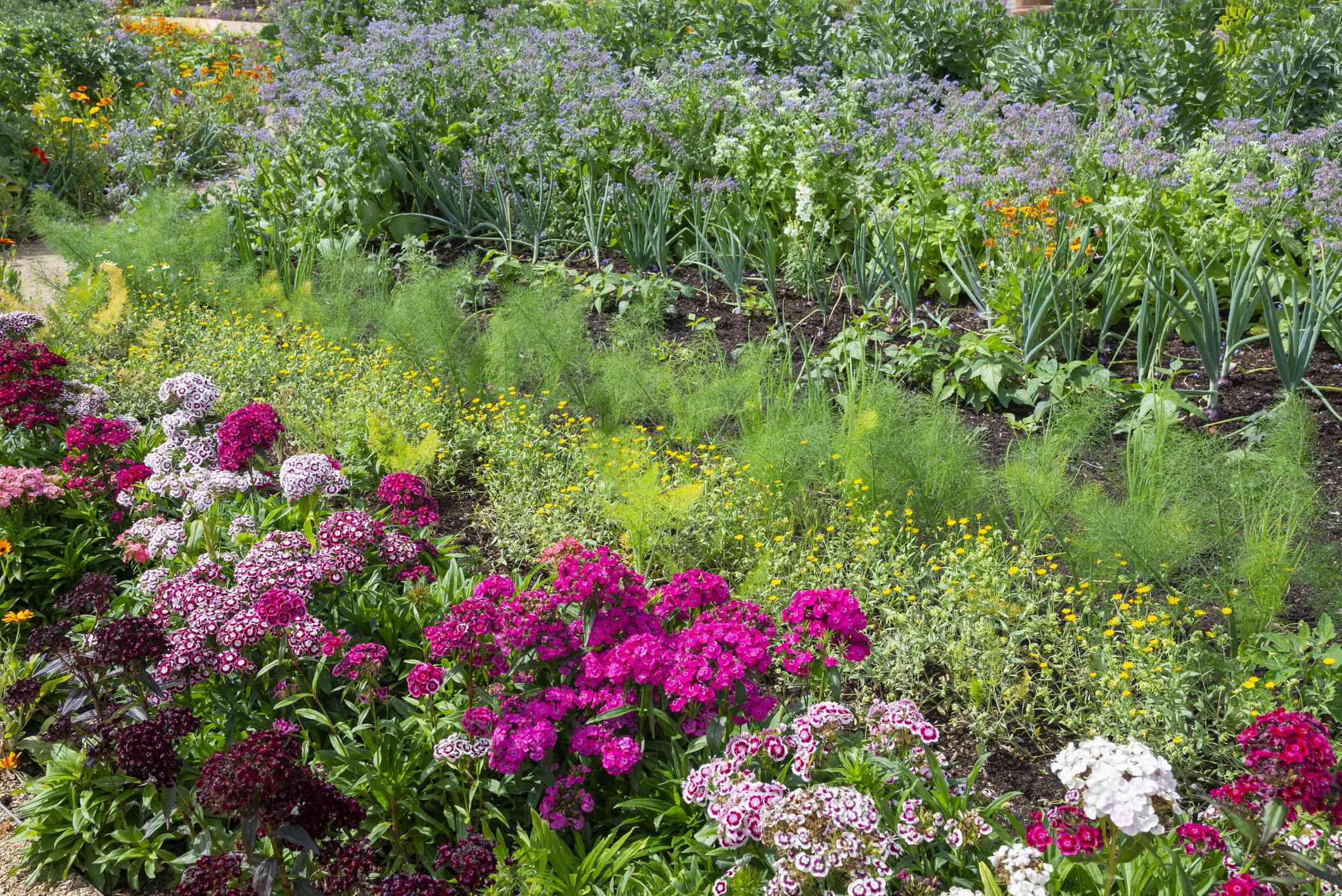 This Planting Method Is the Secret to a Longer Lasting Garden, Gardeners Say