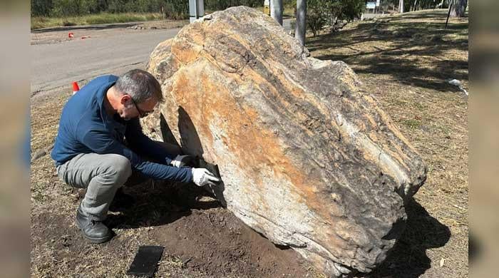 Trove of 200 million-year-old dinosaur footprints at Australian school