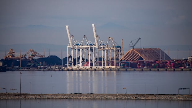 U.S. states rely on B.C. to export thermal coal. Should the shipments be taxed? | CBC News