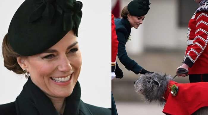 Why Kate Middleton was pictured patting a dog at St. Patrick's Day Parade?