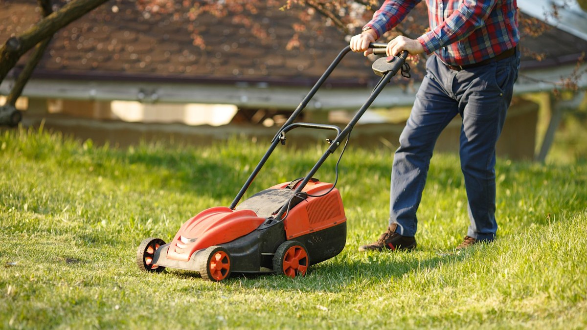 Why you should cut your lawn this Sunday - and the big mistake you're making