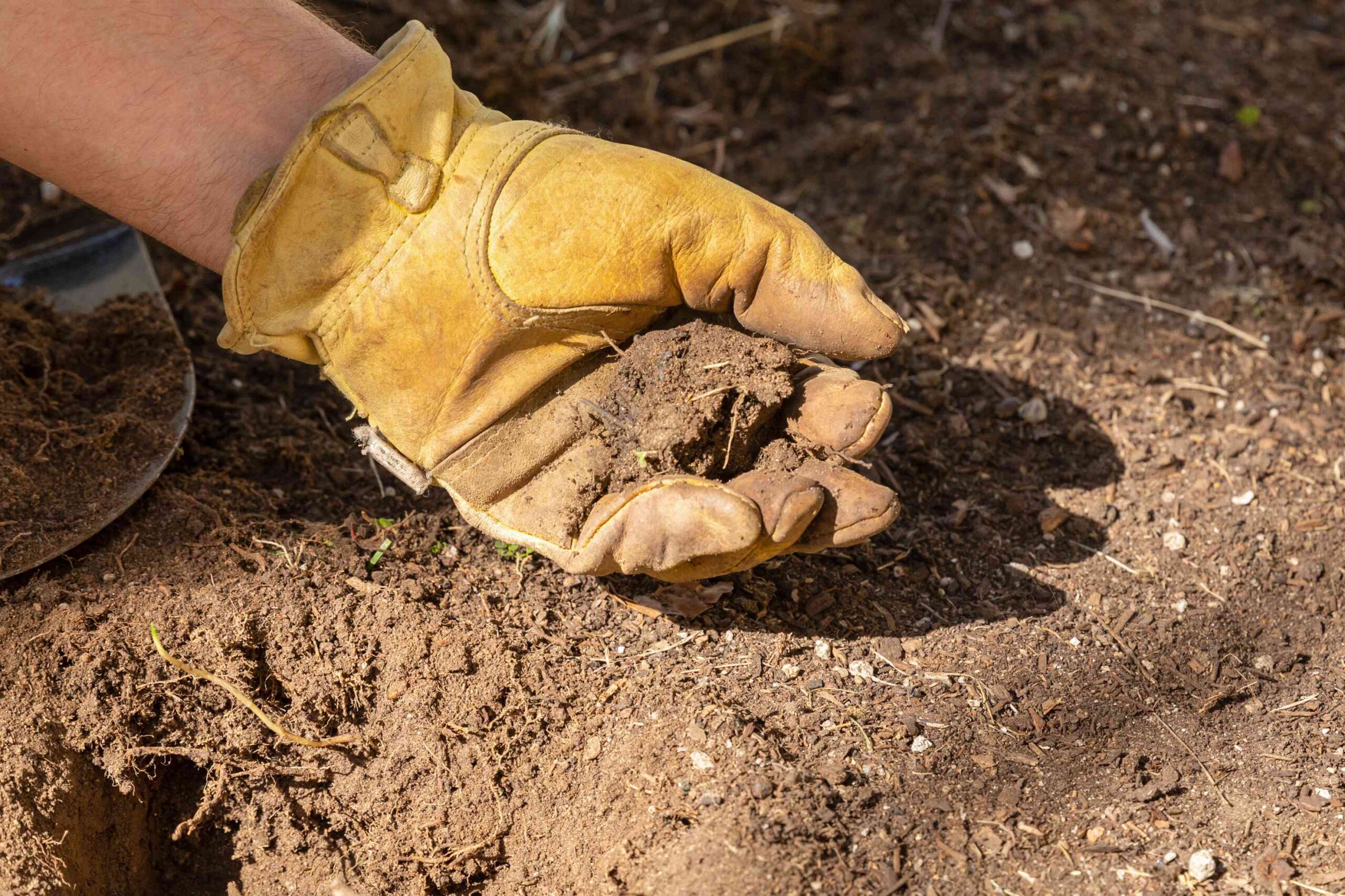 You Should Be Watering Your New Grass Seed More for Better Growth, a Pro Says